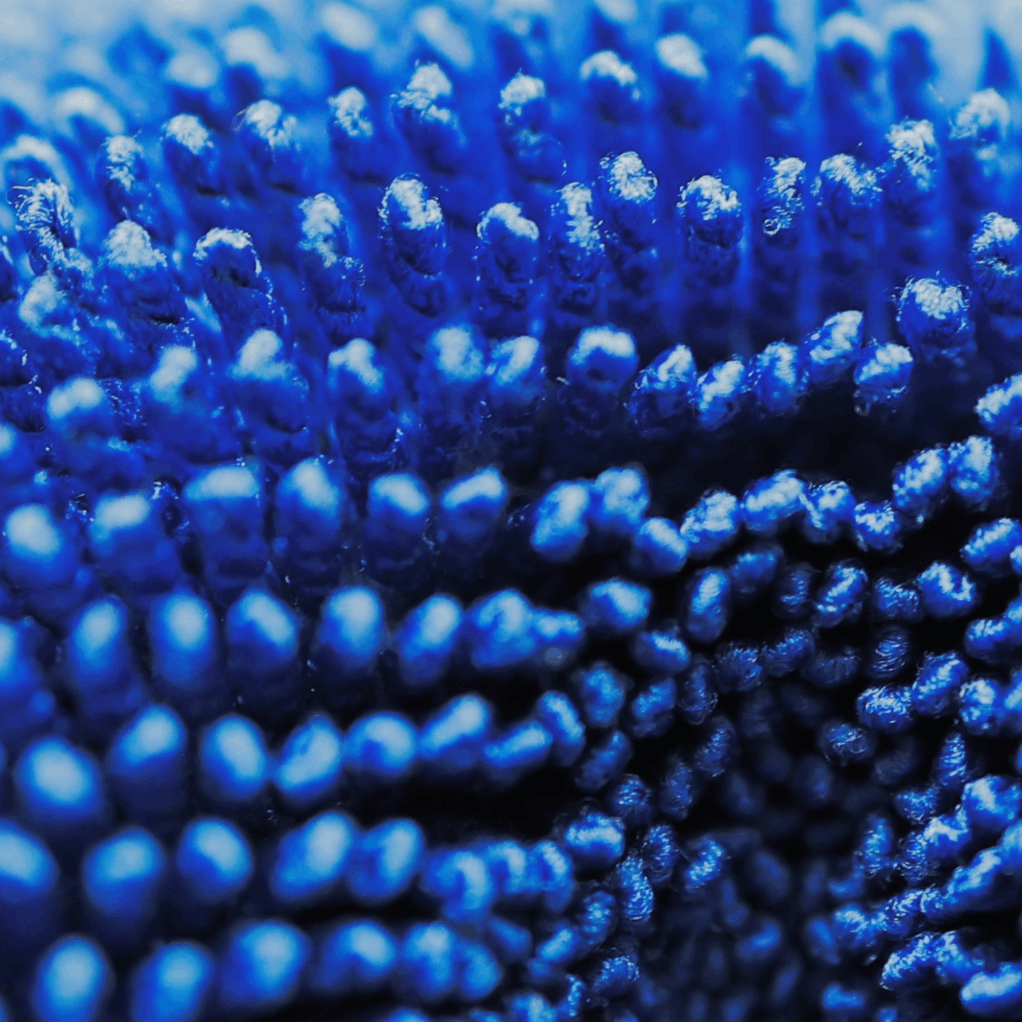 Prosop Premium Uscare Auto Gadgetry – 1600GSM Giant XXL – 70×80CM – Dublu Ultra Absorbant