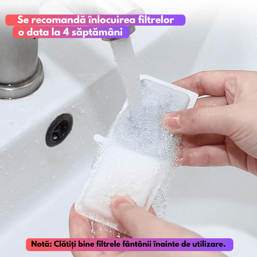 filtre fantana caini si pisici