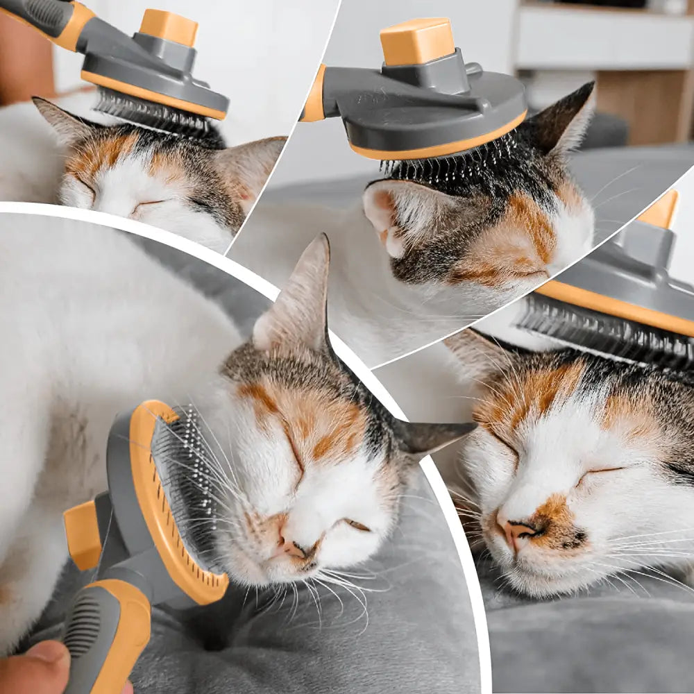 Perie pentru caini si pisici