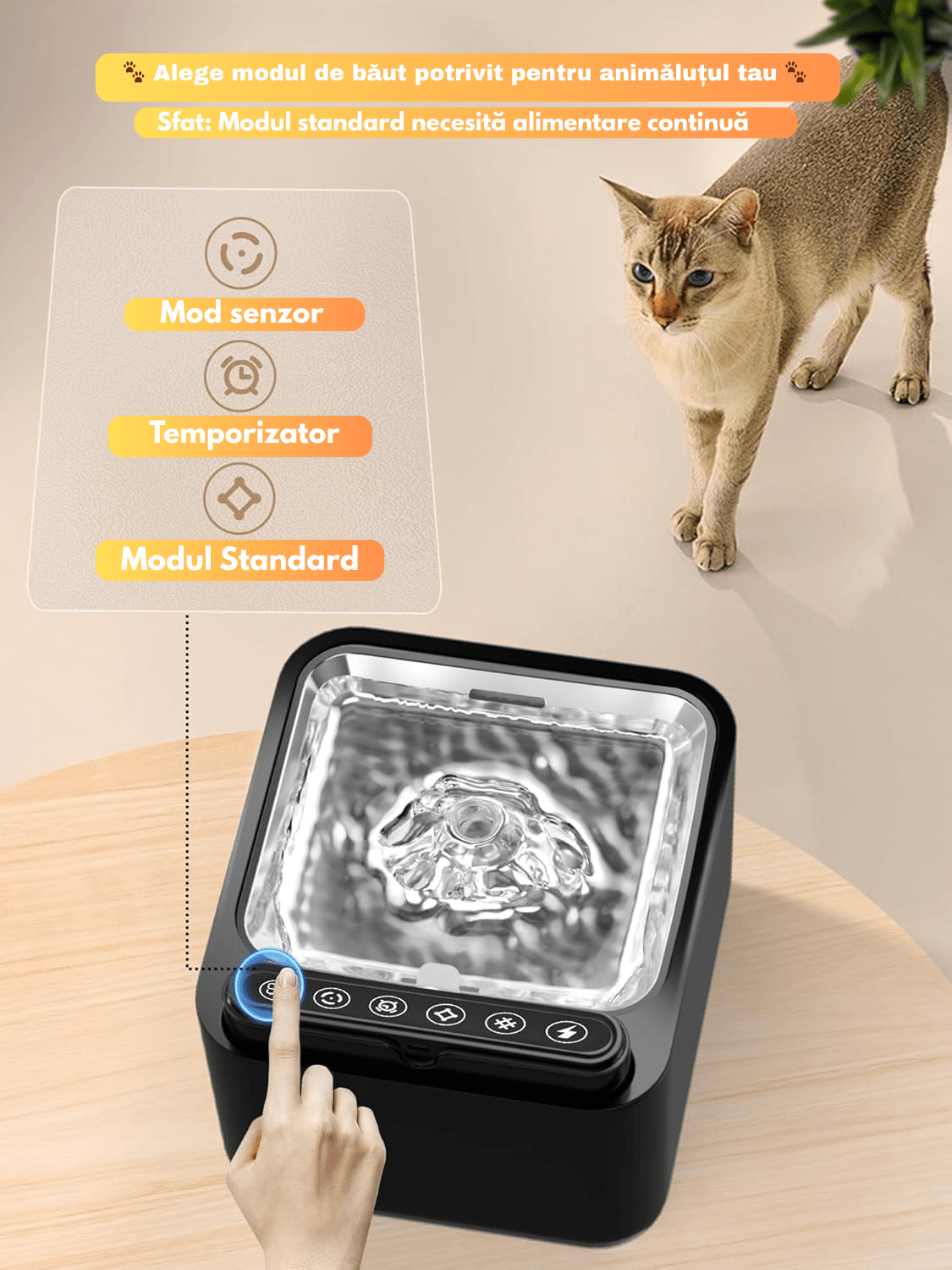 distribuitor apa caini si pisici